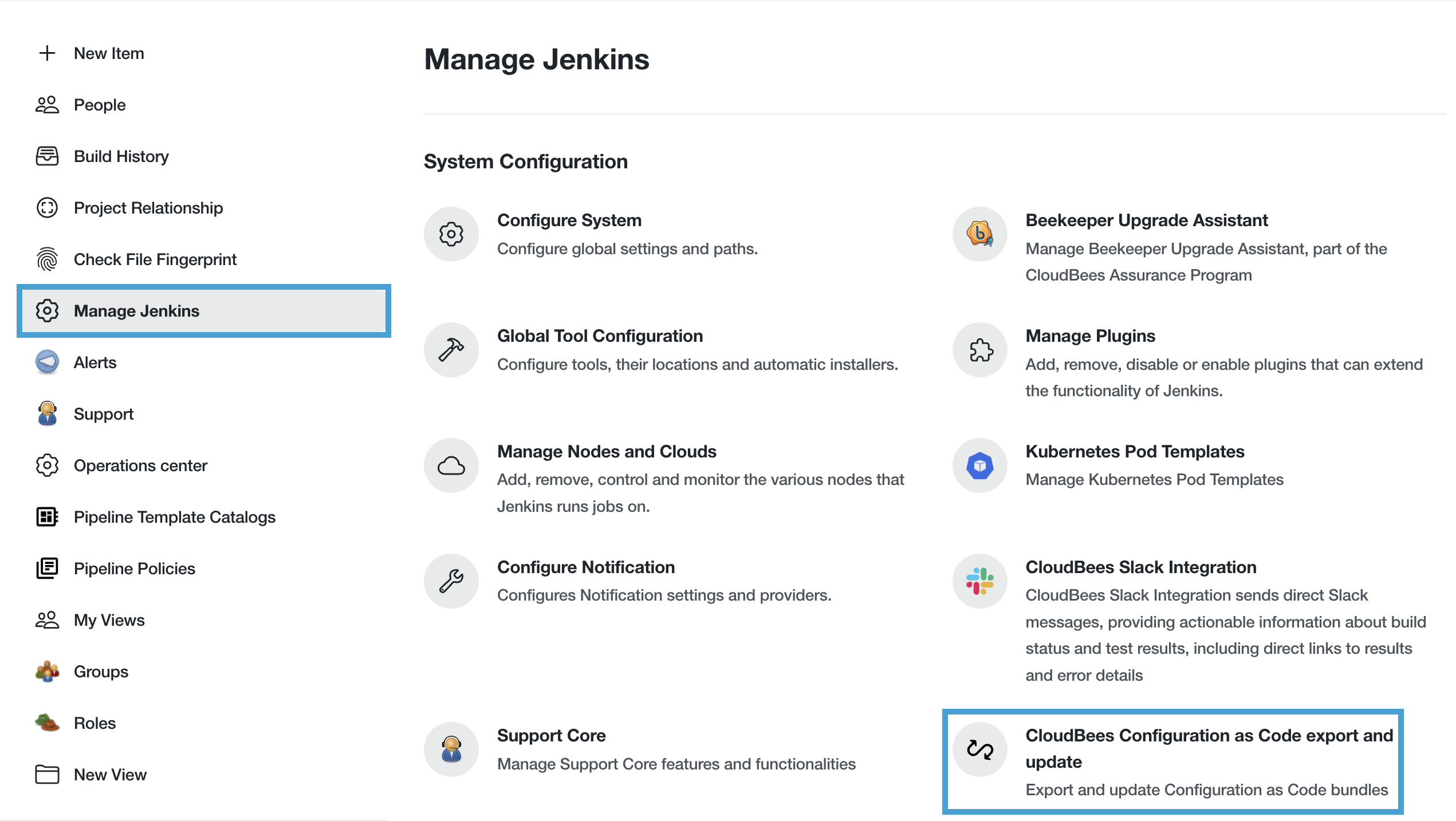 CloudBees Configuration config